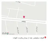 بریونی پاچینو