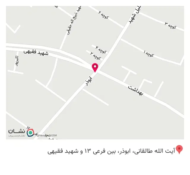 پیتزا برگر شکوفه
