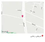 فست فود لید برگر