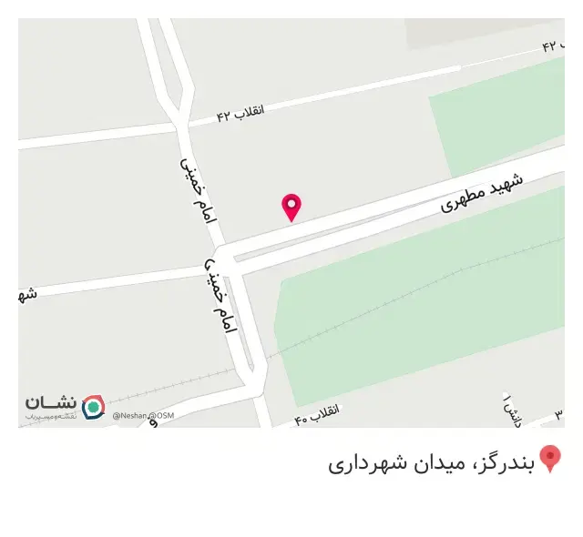 پیتزا پاتوق