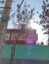 دبیرستان دخترانه هیات امنایی ریحانة النبی