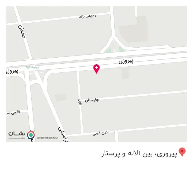 اورژانس کامپیوتر آریان سیستم