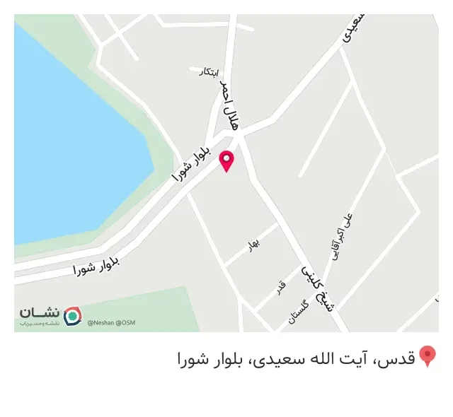پیتزا ذغالی زاپاتا