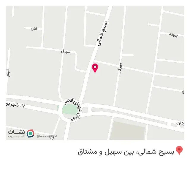 پیتزا 20