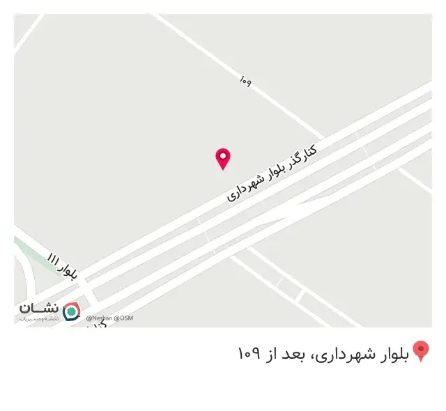 فست فود دلی شس