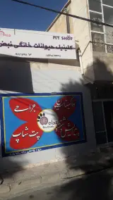 کلینیک حیوانات خانگی نبض