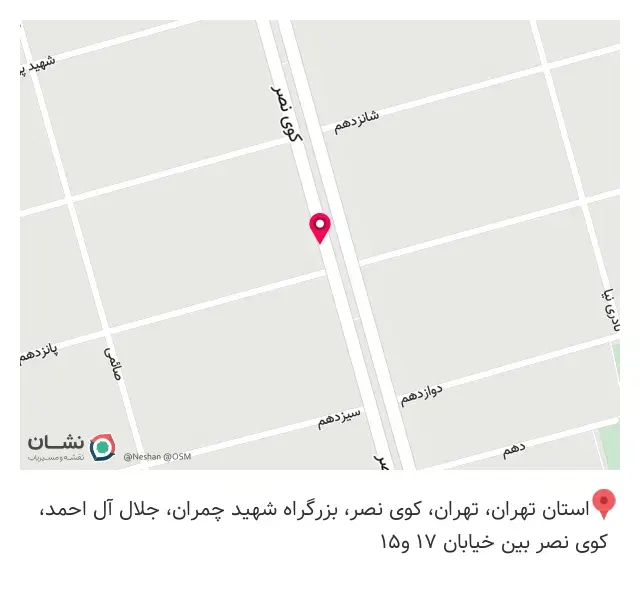 جان اسنک گیشا