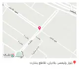 پیتزا و ساندویچ دو به دو