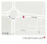 پیتزا زیتون طاهری
