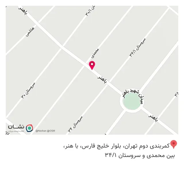 کامپیوتر نیک