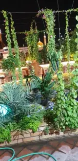 کافی شاپ صادقیه