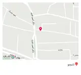 پیتزا ساندویچ طنان