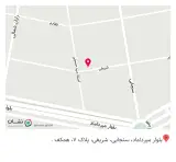 آرایشگاه حیوانات خانگی نور چشمی