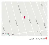 پیتزا پاتوق