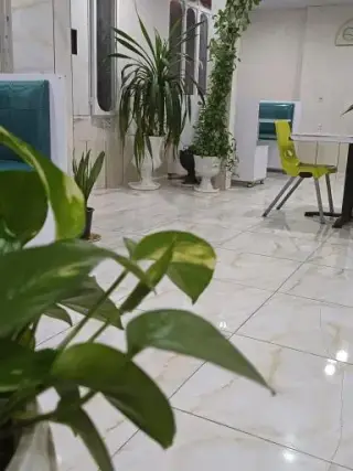 فست فود میامی