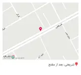 پیتزا بلادشاپور