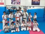 کیوکوشین کاراته اویاما استاد محمدی