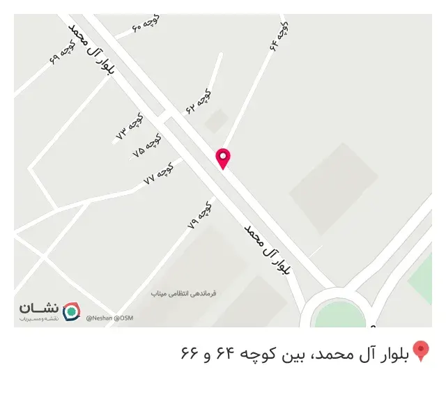 پیتزا لیمو