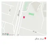ناجیان رایانه