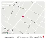 پیک غذای بانو