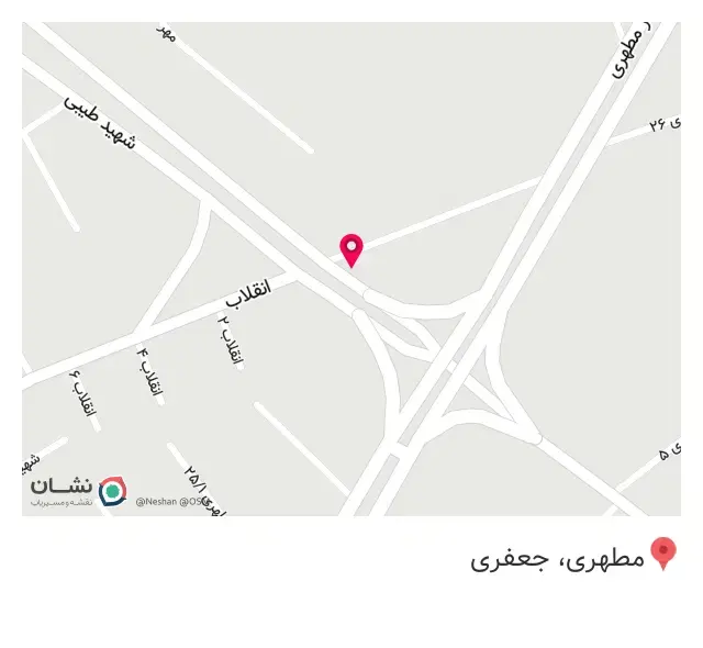 پیتزا فست فود سیب