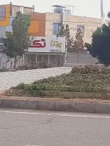 پیتزا تک