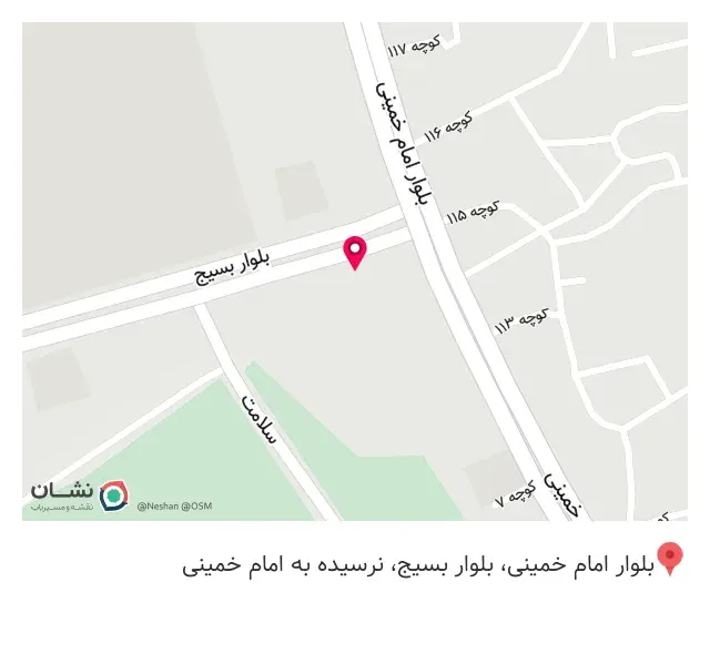 پیتزا شباب