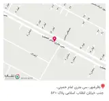 فروشگاه اسنوا