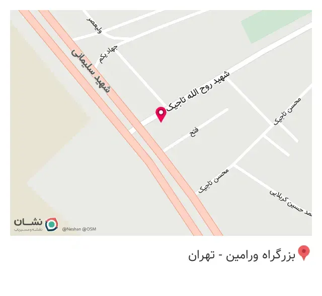 پیتزا فست فود پرچم