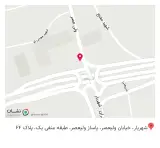 پوشاک پلنگ صورتی