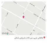 طلا فروشی سلماسی