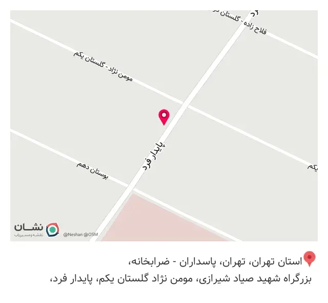 مدرسه زبان امیر