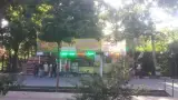 بوفه ساندویچ گلها
