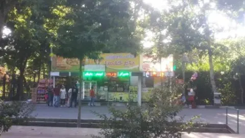 بوفه ساندویچ گلها