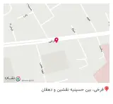 همیلا برگر