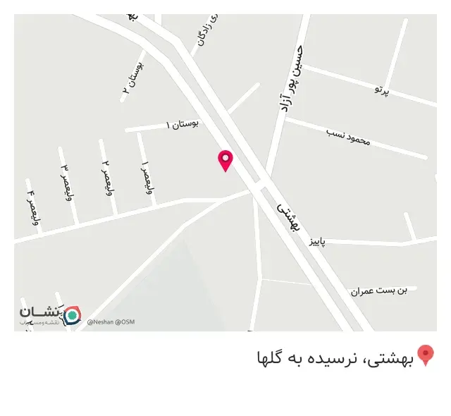 پیتزا شهر