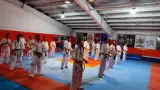 کیوکوشین کاراته پولادوند۲ (کیوکوشین اویاما)