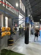 آکادمی بوکس مرتضی شیری
