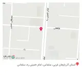 فست فود مش برگر