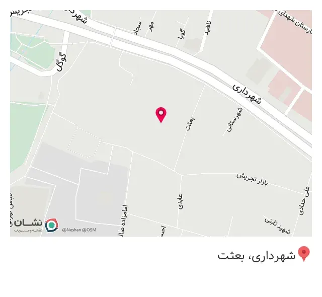 فست فود شیکاگو گریل