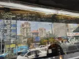 گردو