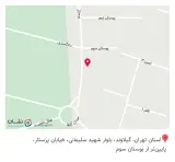 پوشاک گیسو
