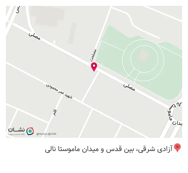 پیتزا کوتال