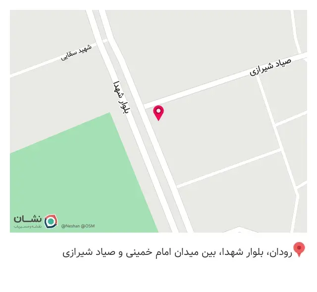 پیتزا مثلث