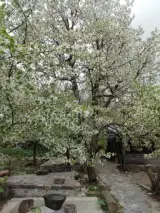 تفریگاه جوزه گله فشم