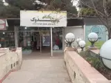 پوشاک خانواده مدوک