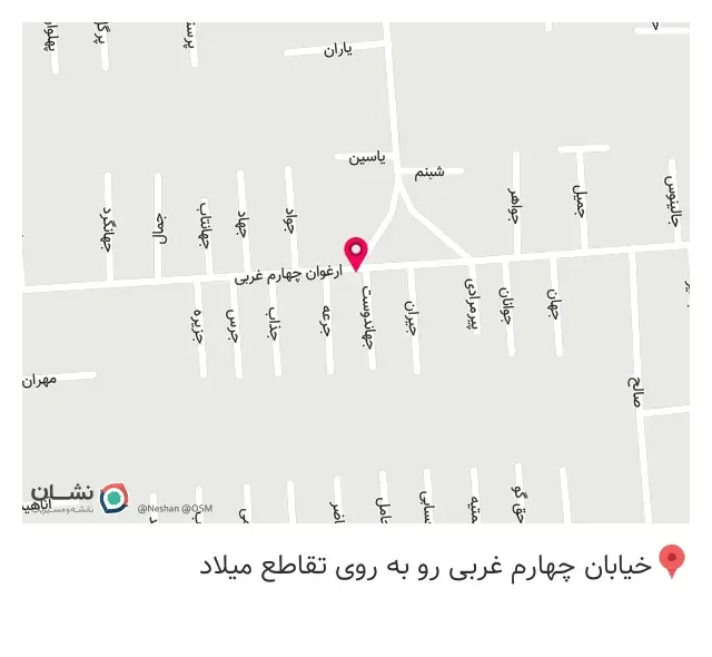 فروشگاه لوازم خانگی میرزایی