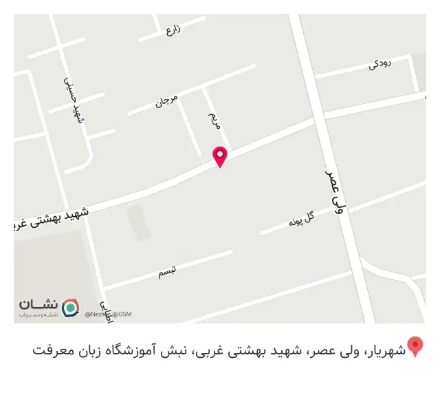 پیتزا در ب در