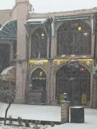 مجموعه صنوبر