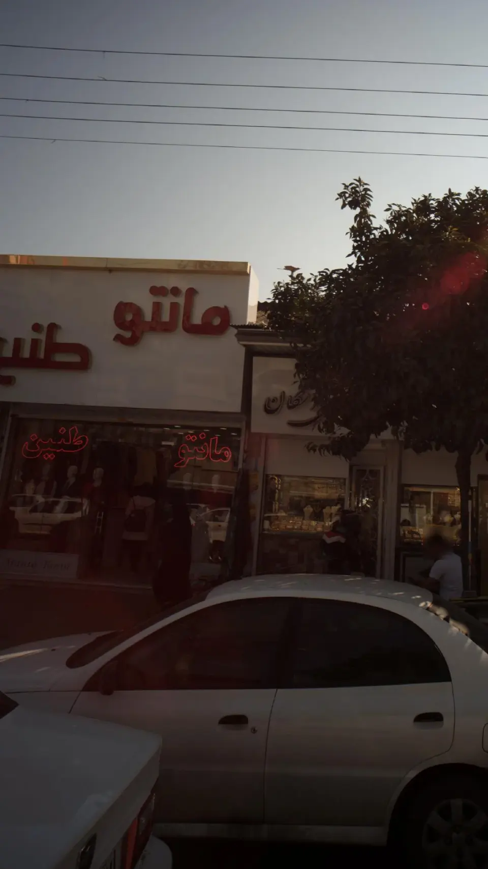 مانتو طنین